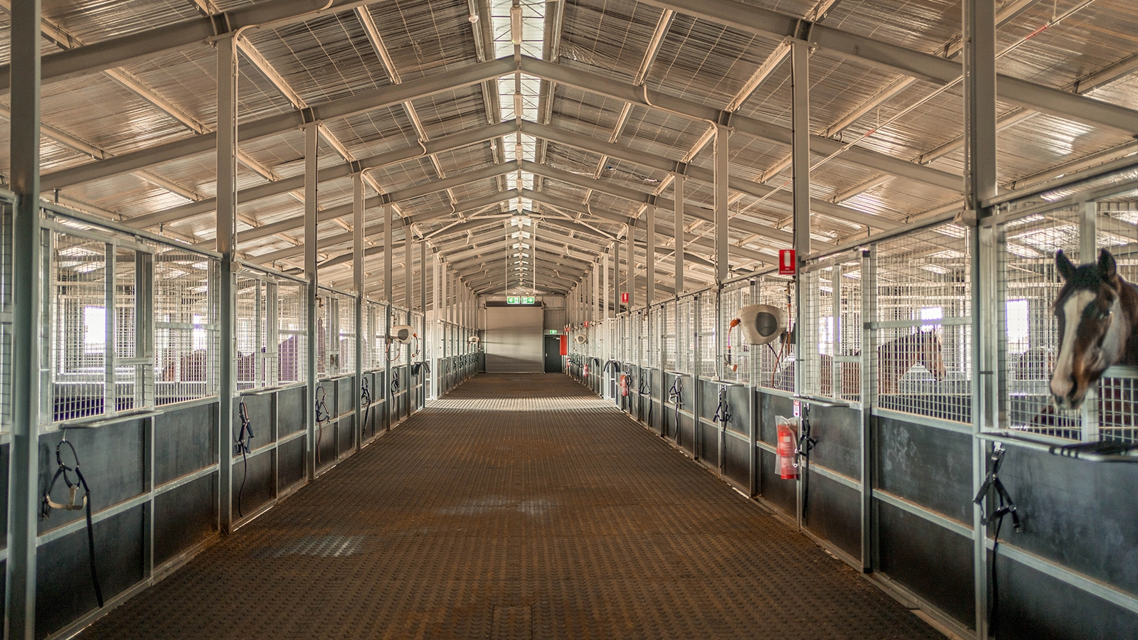 Murray-Bridge-Racing-Club-Stables